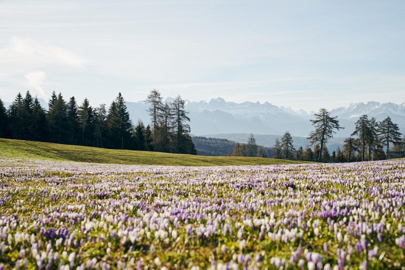 Wandern auf dem Salten in Südtirol