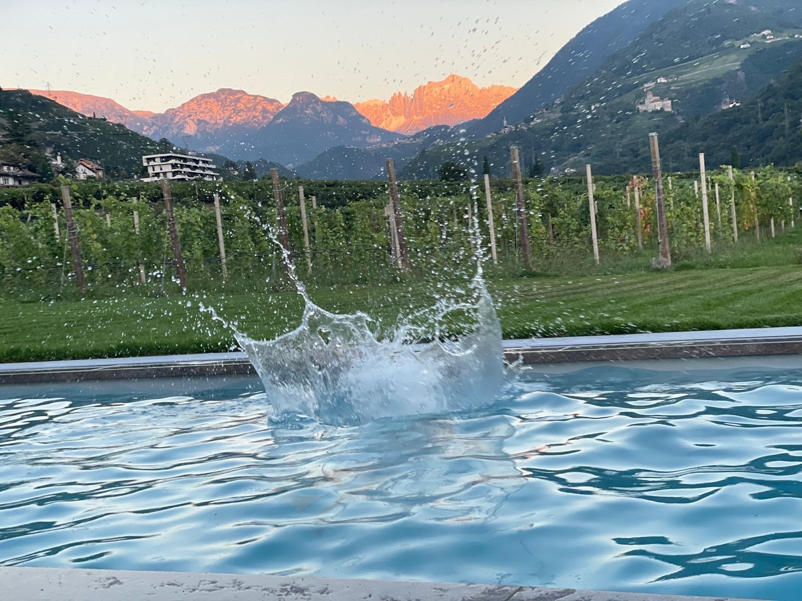 Entspannen - Pool roter Rosengarten